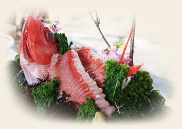漁師料理をイメージした豪快な海鮮料理